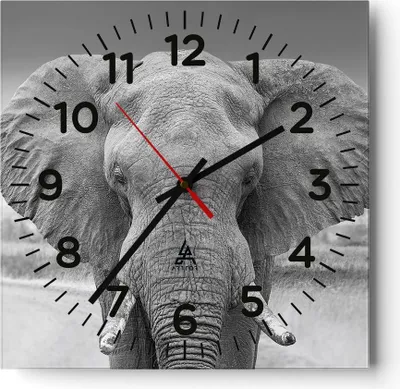 Produktbild von Wanduhr - Quadrat - Glasuhr - Elefant Afrika Tier - 30x30cm - Schleichendes Uhrwerk - Lautlos - zum Aufhängen bereit - Dekoration Modern - Wanddekoration aus Glas - C4AC30x30-5072