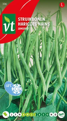 Image de Haricots Sansoucy Graines - Environ 25 gr | VT_306