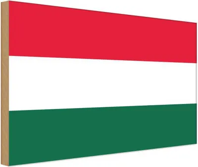 Produktbild von vianmo Holzschild 20x30 cm Ungarns Hungary Flagge Fahne Wappen