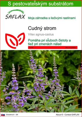 Obrázok produktu pre SAFLAX - cudný strom - Vitex agnus-castus - 30 Semená - S pestovateľským substrátom bez klíčkov