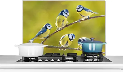 Produktbild von KitchenYeah®  Spritzschutz Küche - Küchenrückwand - Wandschutz für Herd und Spüle - Vogel - Blaumeise - Äste - Sonne 90x60 - Alu-Dibond (Alternative zum Spritzschutz aus Glas) - Hitzebeständig - Herds