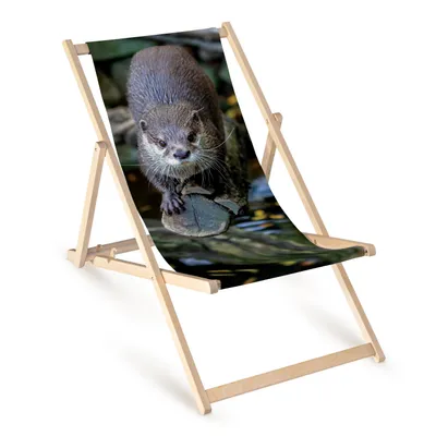 Produktbild von Holz Liegestuhl klappbar „Otter“ – Gartenstuhl Relaxstuhl Sonnenliege Balkon Terrasse Tiermotiv