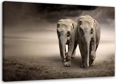 Produktbild von Leinwandbild elefanten in der wüste 60x40 cm Feeby grau wandbild bereit zum aufhängen