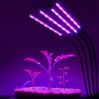 Produktbild von EINFEBEN 30W Pflanzenlampe LED, Dimmbar Pflanzenlicht mit Timer, Pflanzenleuchte mit Rot Blau Licht Vollspektrum Grow Lampe Zimmerpflanzen und Blumen im , 3 Arten von Modus Garten- & Gewächshaus-Zubehör