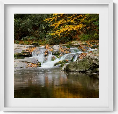 Produktbild von Grüne Landschaft an einem Waldbach– Wandbild mit Rahmen – Gerahmtes Bild  – Wanddekoration – 50x50 cm –  Weiß Rahmen