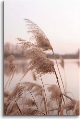 Obrázek produktu pro Obrazy na plátně Nástěnná dekorace do obývacího pokoje Trávy jezero 80x120cm