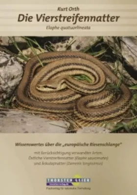 Image de Die Vierstreifennatter Elaphe quatuorlineata