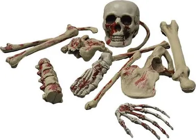 Produktbild von Skelettknochen mit Blutspritzern Halloweendeko 12-teilig beige-rot -