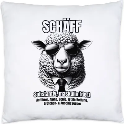 Produktbild von Schäff Cool mit Sonnenbrille Design Kissen Inkl. Füllung - Geschenk Büro Chef Humor