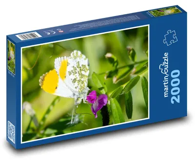 Obrázek produktu pro Puzzle 2000 Motýl Na Květině - martinpuzzle