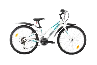 Produktbild von Multibrand Velotec Adventure 24“ Mountainbike