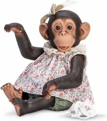 Produktbild von Małpka Lola 32cm