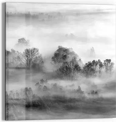 Produktbild von DEQORI Glasbild Echtglas 50x50 cm 'Nebelgeflüster' Wandbild Bild modern Deko