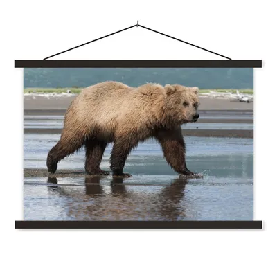 Produktbild von MuchoWow® Textilposter Bär - Strand - Wasser 150x100 cm mit schwarzem Rahmen - Schlafzimmer
