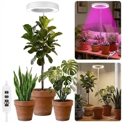 A collage of images showcasing a grow light for plants, with different arrangements of plants and lighting.