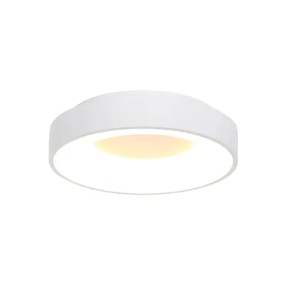 Image de Steinhauer - plafonnier - Ringlede - blanc - plastique métal - Ø 38cm - LED - 2562W