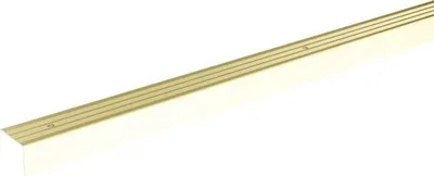 Produktbild von SKANDOR Treppenkantenprofil champagner eloxiert gelocht 24,5x20x900 mm