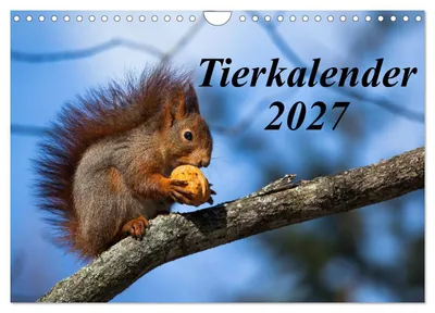 Produktbild von Tierkalender 2027 (Wandkalender 2027 DIN A4 quer), CALVENDO Monatskalender
