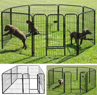 Obrázok produktu pre Ohrada pre psov Mriežka pre šteňatá Zvieracia ohrádka Šteniatko Beh  Beh ohrádka Záhrada XXL Králičia ohrádka Kovová 80 x 80 cm Klietka Vonkajšia Petigi