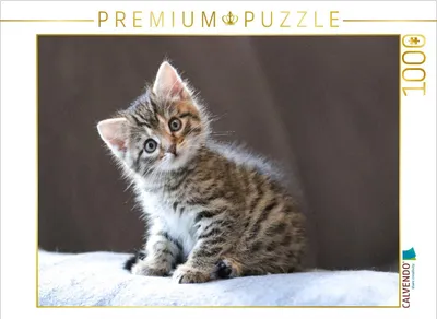 Produktbild von CALVENDO Puzzle Zauberblick | 1000 Teile Lege-Größe 64x48cm Foto-Puzzle für glückliche Stunden
