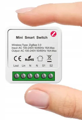 Image de Tuya Interrupteur Zigbee Smart 16A 1 Canal Dopuszkowy