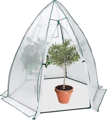 Produktbild von Famanu Pflanzenhaube Frostschutz, Gewächshausfolie - 185x180x160 cm