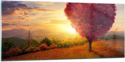 Produktbild von Bilder auf glas - Baum Wiese Blume - 120x50cm - Glasbilder - Wandbilder - Kunstdruck - zum Aufhängen bereit - Wanddekoration aus Glas - Glas Bilder - Wandbild auf Glas - Einteilig - GAB120x50-3790