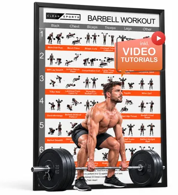 Langhantel-Workout-Poster DIN A1, 36 Übungen, 12 Pläne