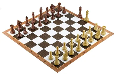 Produktbild von Schach Set PVC Premium 9,5cm + Brett 51cm + Italfama Dame Steine