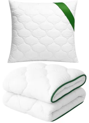 Produktbild von Homeli Bettdecke Kissen Set 220x200 Aloe Vera Ganzjährig Antiallergisch