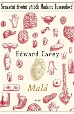 Obrázek produktu pro Malá | Edward Carey