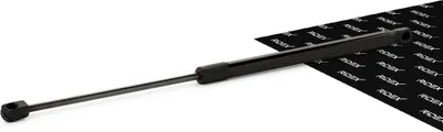 Produktbild von RIDEX 219G0002 Gasfeder Heckklappendämpfer passend für PEUGEOT 307 SW (3H) 491mm
