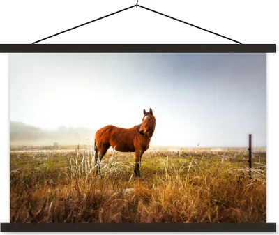 Produktbild von MuchoWow® Textilposter Pferd - Weide - Australien 120x80 cm mit schwarzem Rahmen - Wanddeko