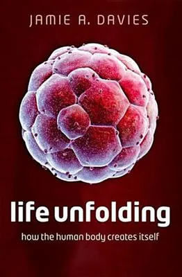 Zdjęcie produktu dla Life Unfolding