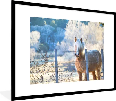 Produktbild von MuchoWow® Gerahmtes Poster Pferd - Winter - Schnee 80x60 cm - Poster mit Schwarzem Bilderrahmen Wandposter Rahmen Foto Bilder - Schlafzimmer-Dekorationen - Fotoposter