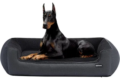 Imagen del producto de Cama para perros, sofá para perros, desmontable. Dimensiones: 120 cm de largo x 90 cm de ancho x 30 cm de alto. Color: gris oscuro