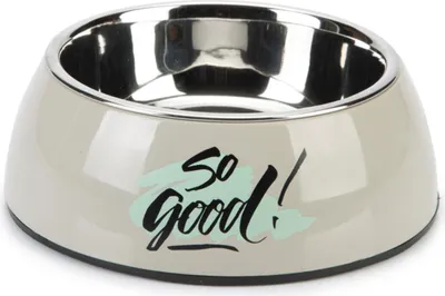 Image de Gamelle pour chien Beeztees « So Good » grise, type : gamelle simple, capacité : 350 ml
