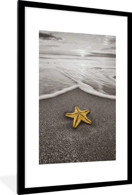Produktbild von MuchoWow® MuchoWow® Gerahmtes Poster Seesterne - Strand - Golf 60x90 cm - Poster mit zchwarzem Bilderrahmen - Dekoration - Wandposter Wohnzimmer - Hochwertig