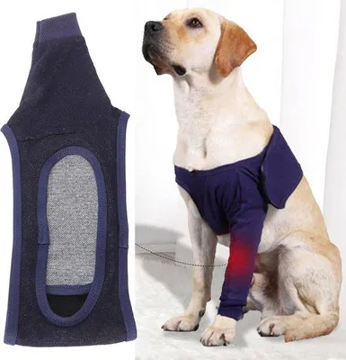 Produktbild von Hunde Ellenbogenschutz - atmungsaktiv und hautfreundlich - postoperativer Erholungsprozess - Größe M