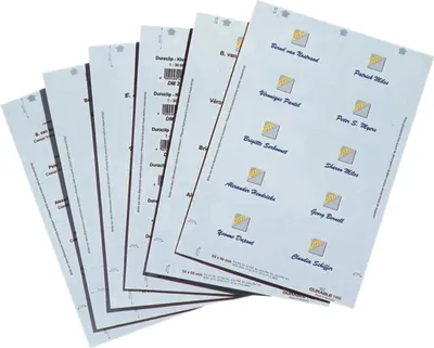 Image de Étiquettes à insérer 61/122x150mm 20 feuilles (40 étiquettes) blanc Paquet de 10 pièces