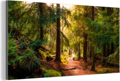 Produktbild von MuchoWow Wanddekoration Metall Metallbild Wandkunst 40x20 cm Wald - Weg - Bäume - Grün - Sonne - Natur MuchoWow Aluminium Gemälde - Bild - Aluminium