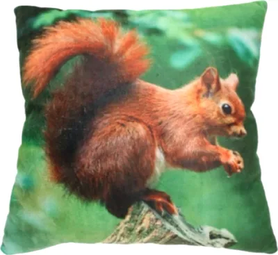 Produktbild von Plüschkissen Eichhörnchen 35 x 35 cm Foto Tierkissen
