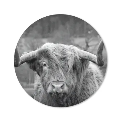 Produktbild von MuchoWow® Mauspad Mousepad Schottischer Highlander - Kuhkopf - Landschaft - Natur - Kuh 20x20 cm - Mousepads - Maus Mat - Pad - Mausunterlage - Schreibtischmatte