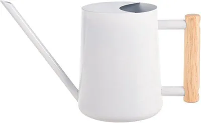 Produktbild von Famanu Gießkanne 1 Liter - Edelstahl mit langer Auslauf und Holzgriff - für Topfpflanzen und Zimmerpflanzen