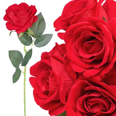 Image de Rose unique en velours Comme la vie Artificielle Marron