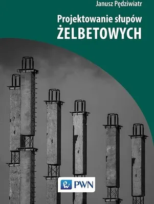 Immagine prodotto di Projektowanie słupów żelbetowych