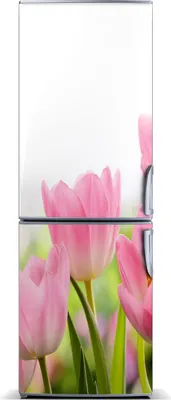 Produktbild von Tulup Kühlschrankdekoration - Magnetmatte - 60 cm x 180 cm - Magnet auf dem Kühlschrank - Rosa Tulpen