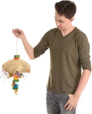 Image de Jelly-Delly - Jouet naturel pour PaPug de taille moyenne et grande