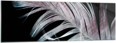 Produktbild von Bilder auf glas - Einteilig - Feder die Farben Zartheit - 160x50cm - Glasbilder - Wandbilder - Bilder - Wanddekoration aus Glas - Glas Bilder - Wandbild auf Glas - GAB160x50-4959