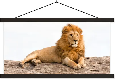 Produktbild von MuchoWow® Textilposter Löwe - Mähne - Tier 60x30 cm mit schwarzem Rahmen - Textilien